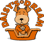 Daisy's Dream